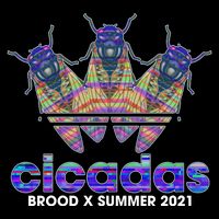 Cicadas Brood X Summer 2021 Sport Logo Hoodie