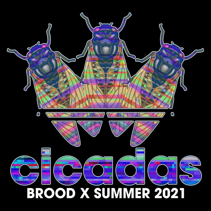 Cicadas Brood X Summer 2021 Sport Logo Flatbill Hat