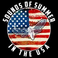 Cicadas Sounds Of Summer In The USA Flag Impact Tech Backpack