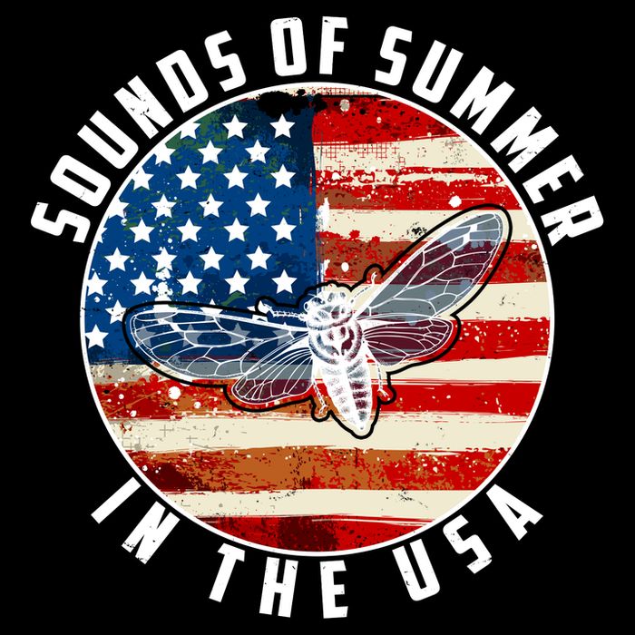 Cicadas Sounds Of Summer In The USA Flag Impact Tech Backpack