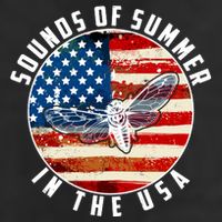 Cicadas Sounds Of Summer In The USA Flag Adult Drive Performance Visor