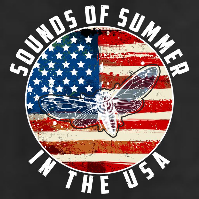 Cicadas Sounds Of Summer In The USA Flag Adult Drive Performance Visor