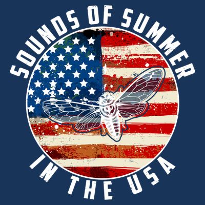 Cicadas Sounds Of Summer In The USA Flag T-Shirt