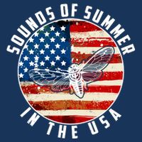 Cicadas Sounds Of Summer In The USA Flag Drawstring Bag