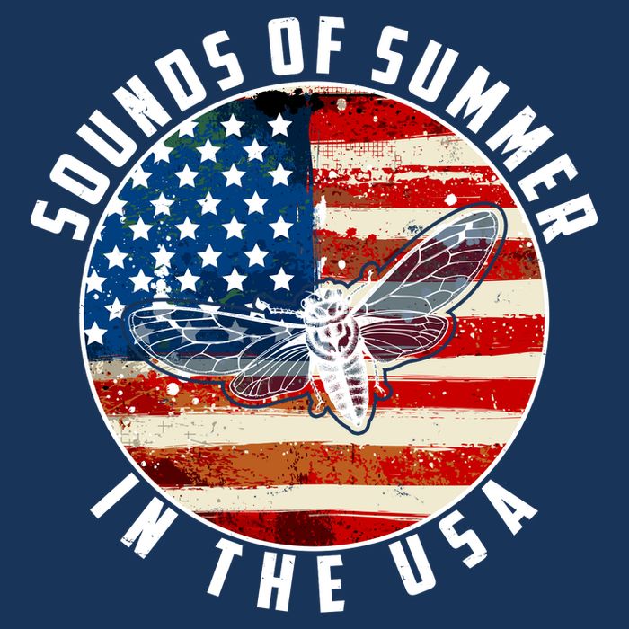 Cicadas Sounds Of Summer In The USA Flag Drawstring Bag