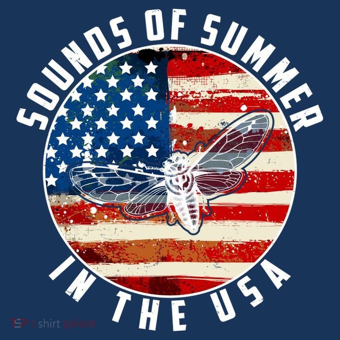 Cicadas Sounds Of Summer In The USA Flag Flat Bill Trucker Hat