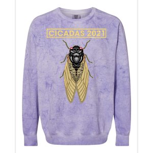 Cicadas Summer Brood X 2021 Colorblast Crewneck Sweatshirt