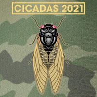 Cicadas Summer Brood X 2021 Legacy Tie Dye Trucker Hat