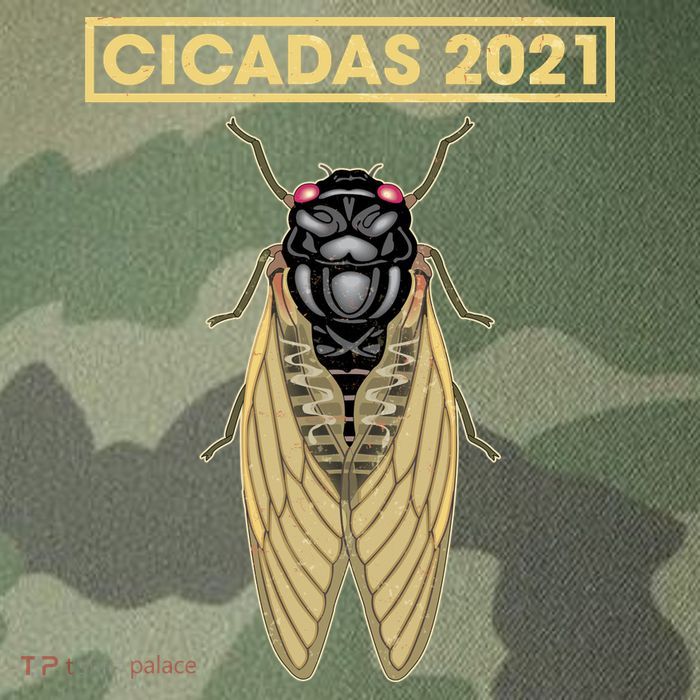 Cicadas Summer Brood X 2021 Legacy Tie Dye Trucker Hat