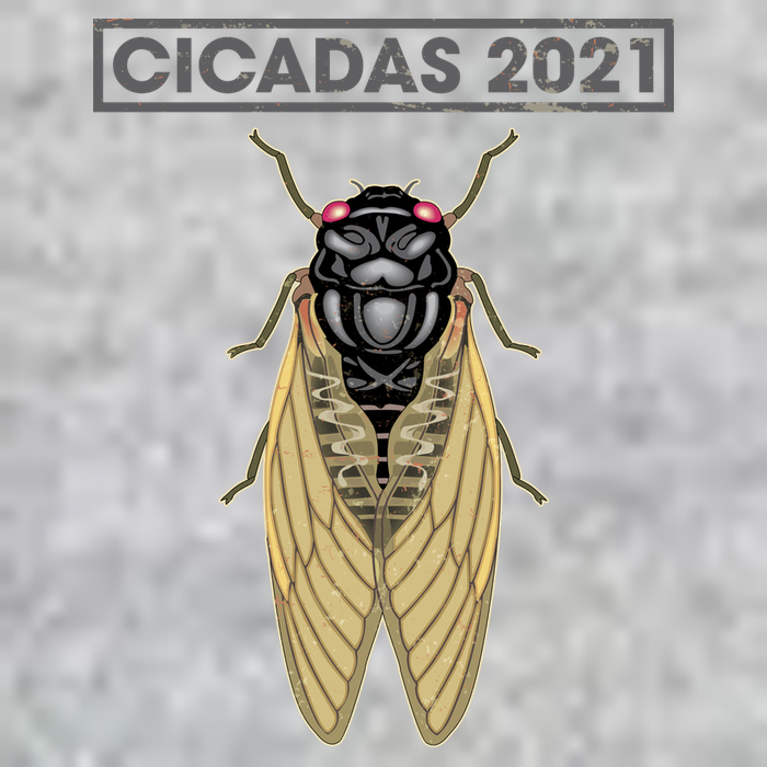 Cicadas Summer Brood X 2021 T-Shirt
