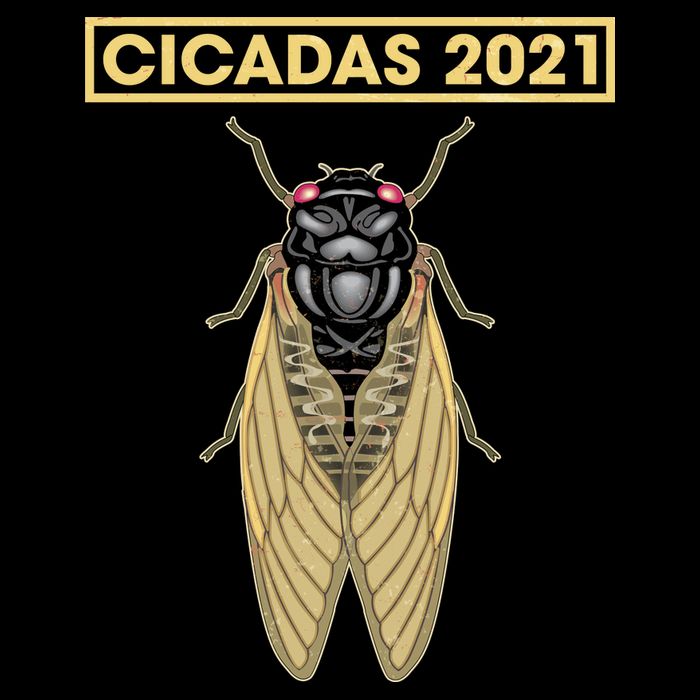 Cicadas Summer Brood X 2021 Impact Tech Backpack