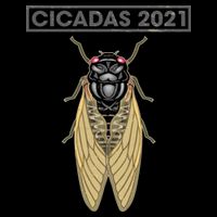 Cicadas Summer Brood X 2021 Mug