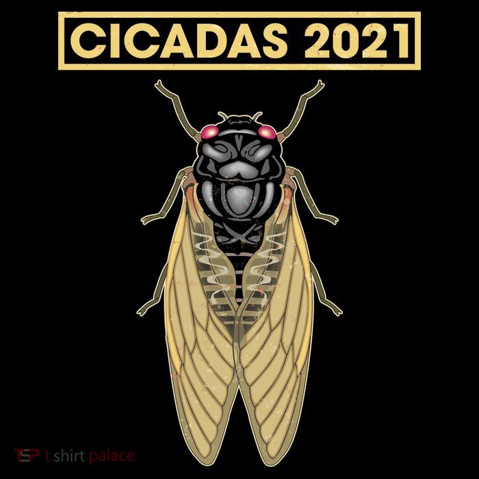 Cicadas Summer Brood X 2021 Baby Bodysuit