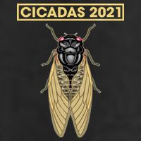 Cicadas Summer Brood X 2021 Golf Towel