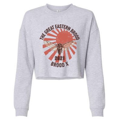 Cicadas The Great Eastern Brood X 2021 Vintage Japanese Sunburst Cropped Pullover Crew