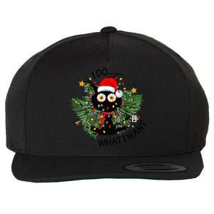 Cat I Do What I Want Christmas Tree Funny Cat Gift Wool Snapback Cap