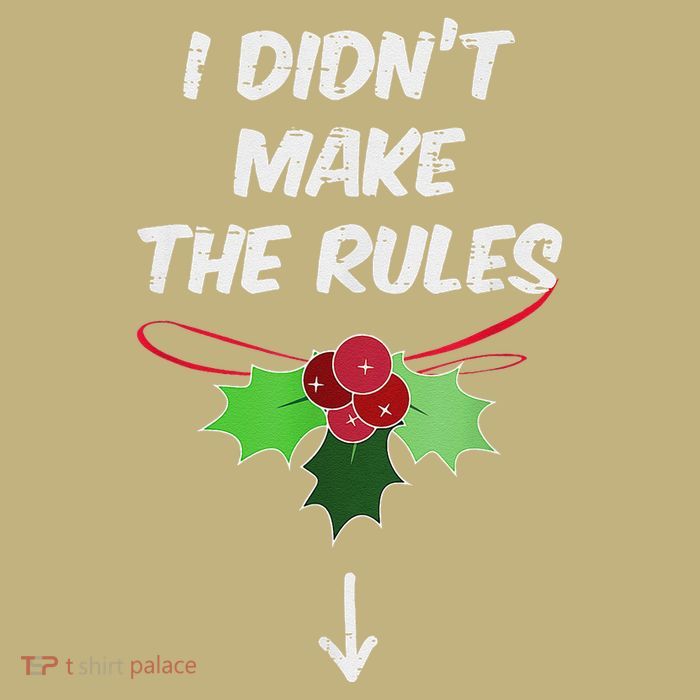 Christmas I Didnt Make Rules Mistletoe Funny Xmas Magnet