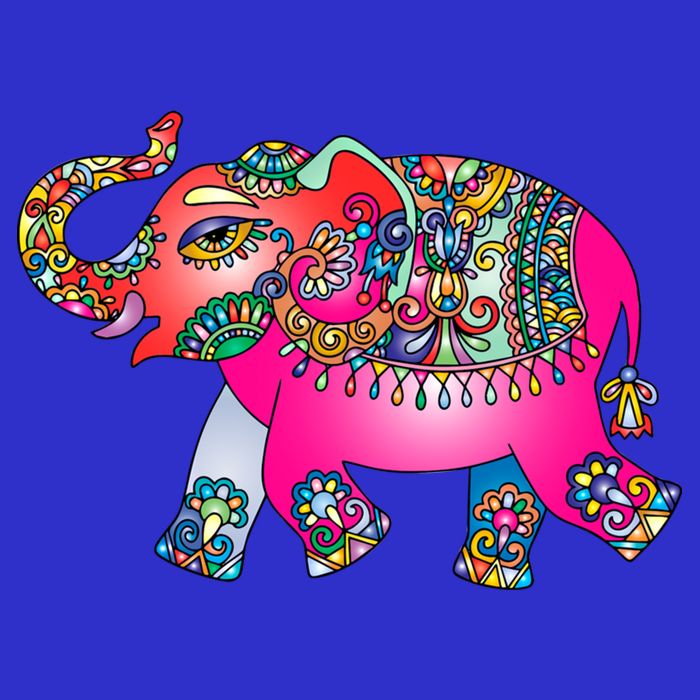 Colorful Indian Elephant Tribal Cute Gift Dala Art Cute Gift Yoga Namaste Gift T-Shirt