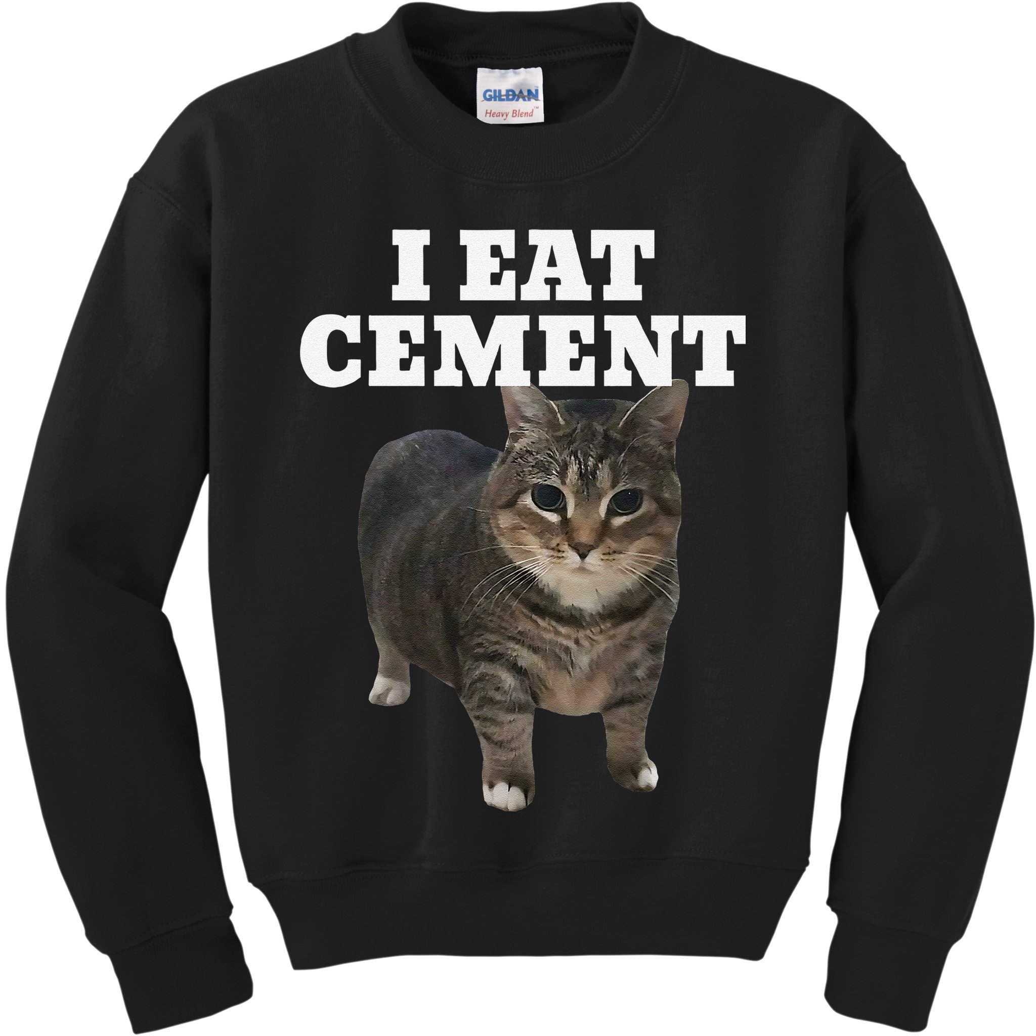 Cat I Eat Cement Kids Sweatshirt