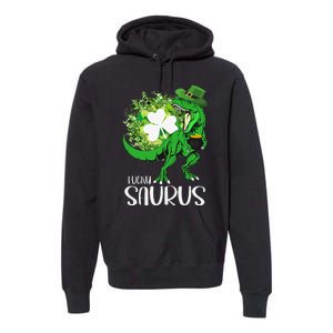 Clover Irish Flag Coins St Patricks Day Lucky Saurus Premium Hoodie