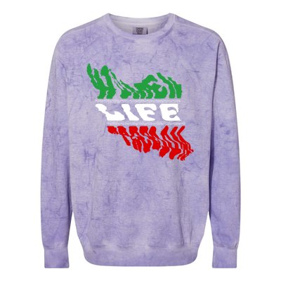 Cute Iranian Flag Of Iran Free Iran Life Freedom Gift Colorblast Crewneck Sweatshirt