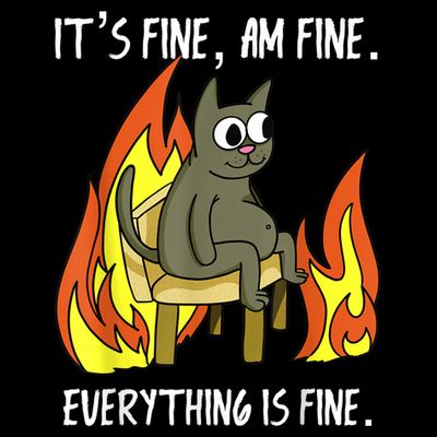 Cat ItS Fine IM Fine Everything Is Fine T-Shirt