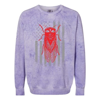 Cicada Insect Great Eastern Brood X Usa 2024 Magicicada Colorblast Crewneck Sweatshirt