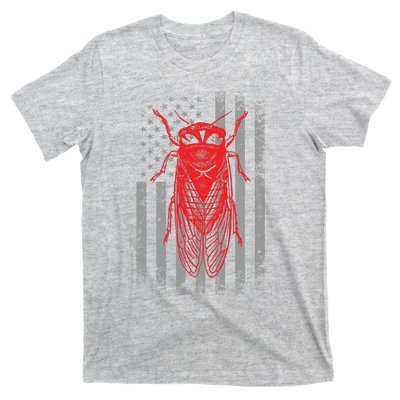 Cicada Insect Great Eastern Brood X Usa 2024 Magicicada T-Shirt