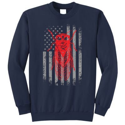 Cicada Insect Great Eastern Brood X Usa 2024 Magicicada Sweatshirt