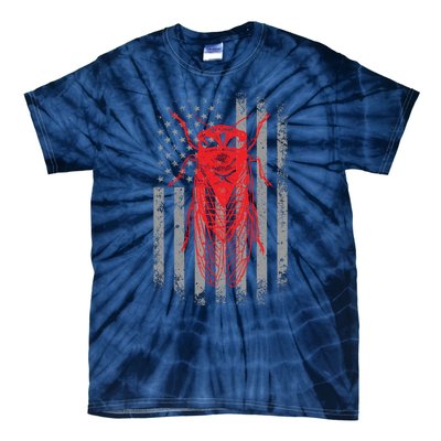 Cicada Insect Great Eastern Brood X Usa 2024 Magicicada Tie-Dye T-Shirt