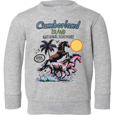 Cumberland Island Georgia Toddler Sweatshirt