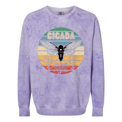 Cicada Insect Great Eastern Brood X 2021 Magicicada Colorblast Crewneck Sweatshirt