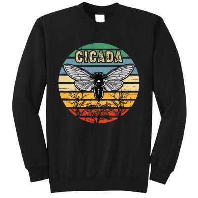 Cicada Insect Great Eastern Brood X 2021 Magicicada Sweatshirt