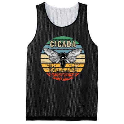 Cicada Insect Great Eastern Brood X 2021 Magicicada Mesh Reversible Basketball Jersey Tank