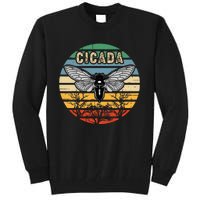 Cicada Insect Great Eastern Brood X 2021 Magicicada Tall Sweatshirt