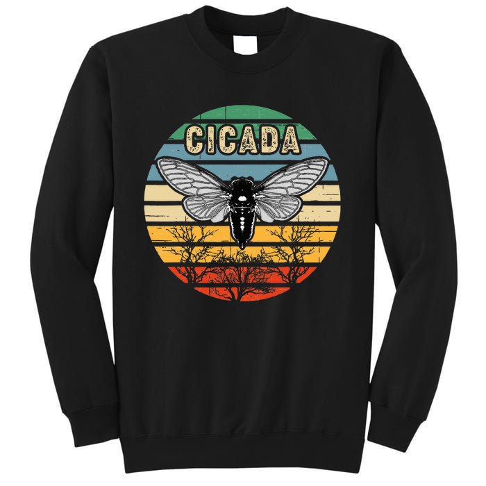 Cicada Insect Great Eastern Brood X 2021 Magicicada Tall Sweatshirt