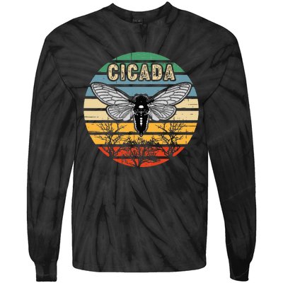 Cicada Insect Great Eastern Brood X 2021 Magicicada Tie-Dye Long Sleeve Shirt