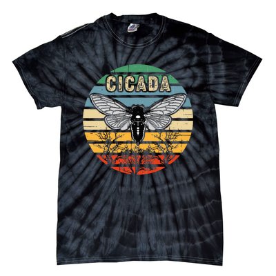 Cicada Insect Great Eastern Brood X 2021 Magicicada Tie-Dye T-Shirt