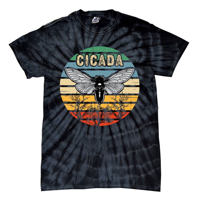 Cicada Insect Great Eastern Brood X 2021 Magicicada Tie-Dye T-Shirt