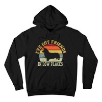 corgi ive got friends in low place dog corgi mom Hoodie