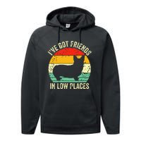 Corgi IVe Got Friends In Low Places Pembroke Welsh Lover Te Performance Fleece Hoodie