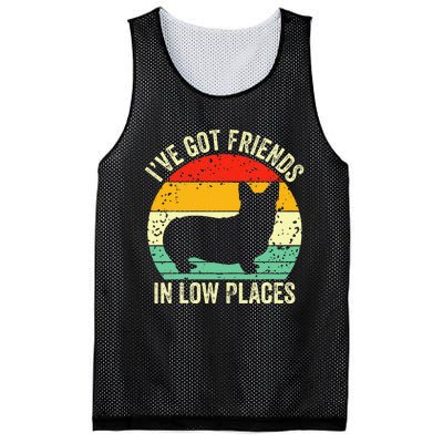 Corgi IVe Got Friends In Low Places Pembroke Welsh Lover Te Mesh Reversible Basketball Jersey Tank