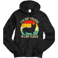 Corgi IVe Got Friends In Low Places Pembroke Welsh Lover Te Tie Dye Hoodie