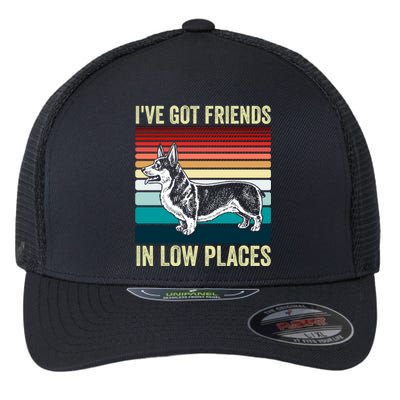 Corgi I've Got Friends In Low Places Pembroke Welsh Dog Gift Flexfit Unipanel Trucker Cap