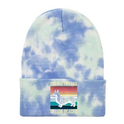 Corgi I've Got Friends In Low Places Pembroke Welsh Dog Gift Tie Dye 12in Knit Beanie