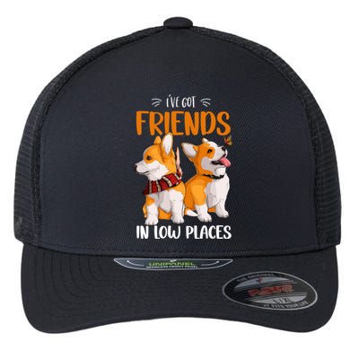 Corgi I've Got Friends In Low Places Pembroke Welsh Lover Gift Flexfit Unipanel Trucker Cap