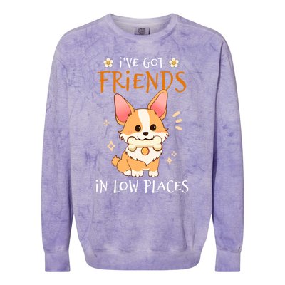 Corgi I've Got Friends In Low Places Pembroke Welsh Lover Great Gift Colorblast Crewneck Sweatshirt