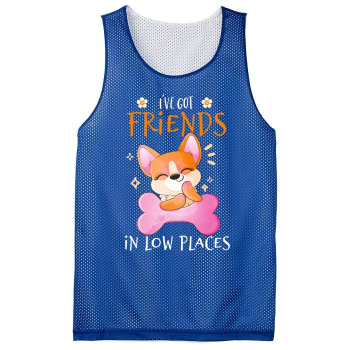 Corgi I've Got Friends In Low Places Pembroke Welsh Lover Gift Mesh Reversible Basketball Jersey Tank