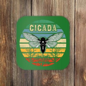 Cicada Insect Great Eastern Brood X 2021 Magicicada Coaster