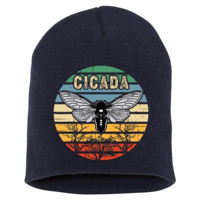 Cicada Insect Great Eastern Brood X 2021 Magicicada Short Acrylic Beanie